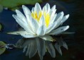/album/photos/a89350-70020-p-jpg/