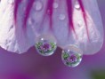 /album/photos/gotas-de-agua-33-jpg/